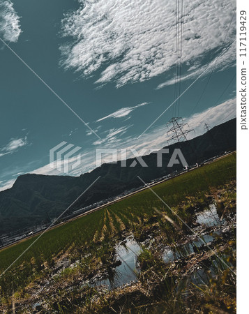 Summer sky in Fukui, Takefu, Hokuriku, Fukui Prefecture 117119429