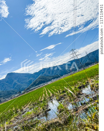Summer sky in Fukui, Takefu, Hokuriku, Fukui Prefecture 117119431