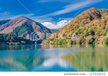 【神奈川縣】丹澤湖、湖邊的秋葉、遠處的富士山 【神奈川縣】丹澤湖、湖邊的秋葉、遠處的富士山 117120153