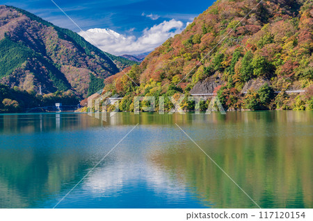 【神奈川縣】丹澤湖、湖邊的秋葉、遠處的富士山 【神奈川縣】丹澤湖、湖邊的秋葉、遠處的富士山 117120154