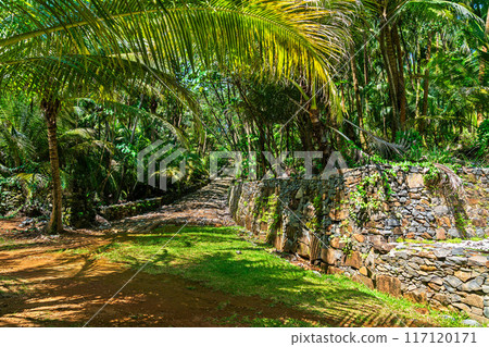 Remains of notorious penal colony in Saint Joseph Island, Salvation Islands, French Guiana, South America Remains of notorious penal colony in Saint Joseph Island, Salvation Islands, French Guiana, South America 117120171