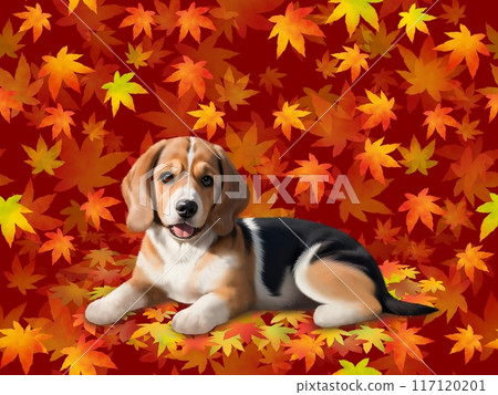 小獵犬無縫模式 C-3 117120201