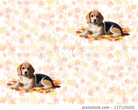 小獵犬無縫模式 D-1 117120202