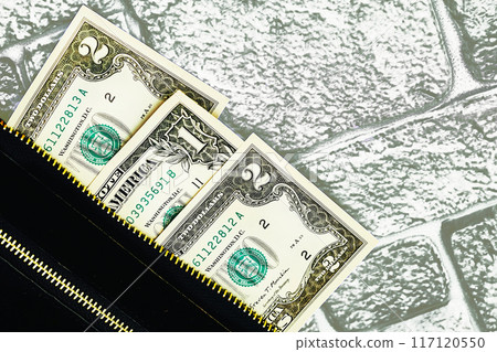 Handbag,clutch.Purse, wallet with money.Banknotes one, two dollars 117120550