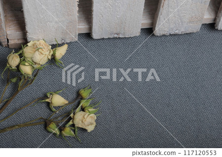 Dried beige roses. Against the background of gray fabric rough texture. Nearby is a wooden box, painted in white. 117120553