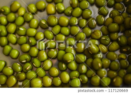 Mung bean Mung bean 117120669