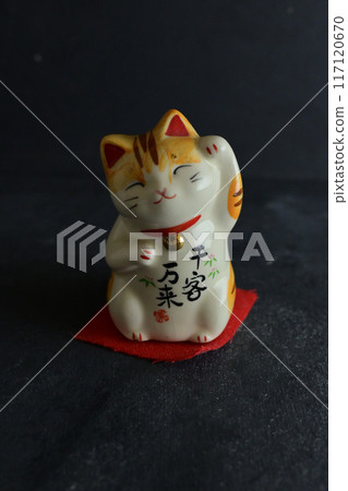 一隻誘人的貓的裝飾品 一隻誘人的貓的裝飾品 117120670