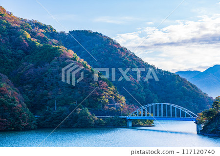 [神奈川縣]丹澤湖、黑倉地區的秋葉、清晨 117120740