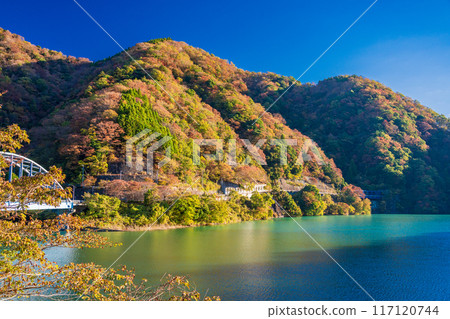 [神奈川縣]丹澤湖、黑倉地區的秋葉、清晨 117120744