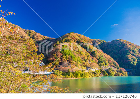 [神奈川縣]丹澤湖、黑倉地區的秋葉、清晨 117120746