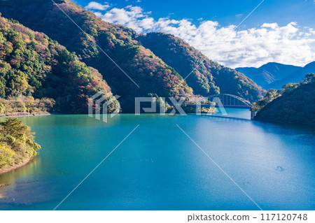 [神奈川縣]丹澤湖、黑倉地區的秋葉、清晨 117120748