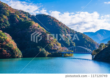 [神奈川縣]丹澤湖、黑倉地區的秋葉、清晨 117120749