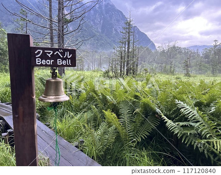 Bear Bell Bear Bell 117120840