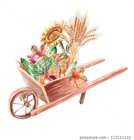 Wheelbarrow with pumpkin, wheat, sunflower, beet, zucchini, carrot. Watercolor illustration on the theme of harvest for agricultural exhibitions. Illustration isolated from the background. 117121132