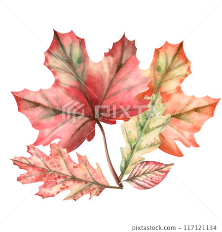 Bouquet of autumn leaves painted in watercolor. Illustration on the theme of autumn, for fairs, school holidays. Illustration isolated from the background. Bouquet of autumn leaves painted in watercolor. Illustration on the theme of autumn, for fairs, school holidays. Illustration isolated from the background. 117121134