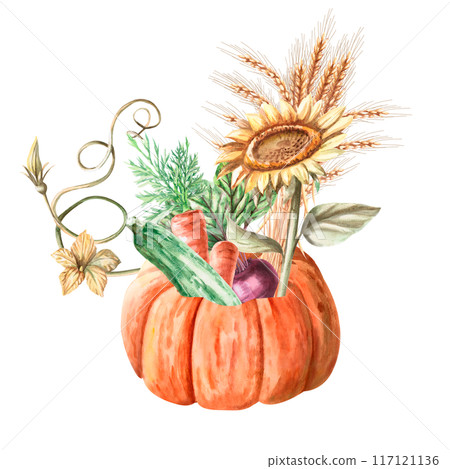 Composition of wheat, sunflower, zucchini, beetroot, carrot in a pumpkin painted with watercolors. Illustration on the theme of harvest, for fairs. Illustration isolated from the background. Composition of wheat, sunflower, zucchini, beetroot, carrot in a pumpkin painted with watercolors. Illustration on the theme of harvest, for fairs. Illustration isolated from the background. 117121136
