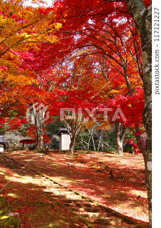Autumn at Hanitsu Shrine (Inawashiro Town, Fukushima Prefecture) 117121227