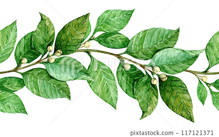 Laurel seamless pattern. Horizontal border with green leaves. Hand drawn watercolor illustration for invitations, greetings, photos, text. Antique symbol of victory, gain. 117121371