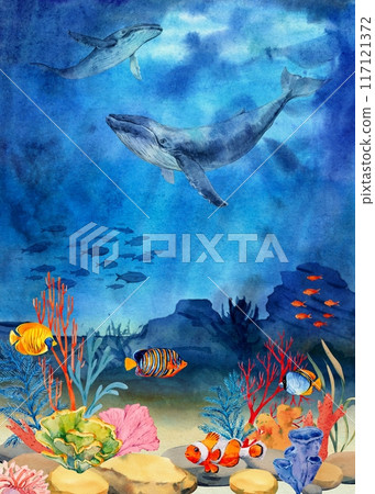 Underwater landscape with coral reef, mana rays, fish and shells. Seascape, illustration. Ocean water scene with two humpback whales. The bottom of the ocean in the tropics. 117121372