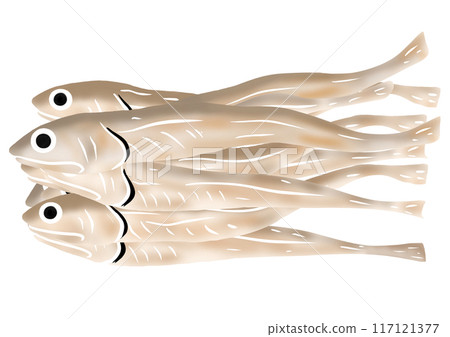 稻田 稻田 117121377