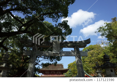 Torii, trees and tower gate_Dazaifu Tenmangu Shrine 117121590