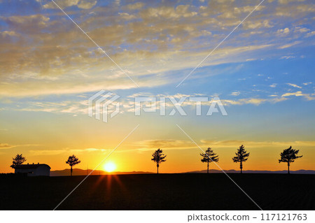 Hokkaido autumn sunset and fairy tale hill 117121763