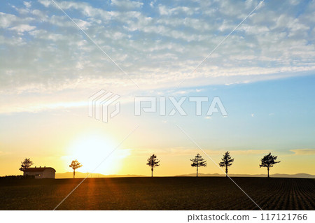 Hokkaido autumn sunset and fairy tale hill Hokkaido autumn sunset and fairy tale hill 117121766