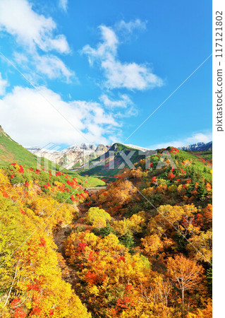 Hokkaido autumn blue sky and autumn leaves of Mt. Tokachi Hokkaido autumn blue sky and autumn leaves of Mt. Tokachi 117121802