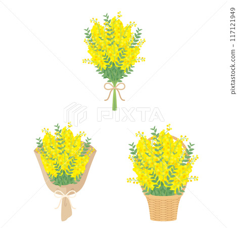 Mimosa bouquet set 117121949