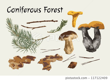 Clip art, design elements, set of nature objects of coniferous forest. Image tracing, cleaned and simplified illustrations. Realistic style. Not AI. 117122409