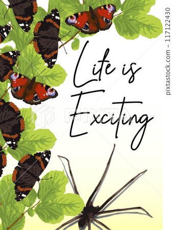 Bright summer poster with copy space with green lush foliage, leaves, butterflies with spread wings, big spider, text. Concept of Vertical nature backdrop. A4 paper size. Bright summer poster with copy space with green lush foliage, leaves, butterflies with spread wings, big spider, text. Concept of Vertical nature backdrop. A4 paper size. 117122430