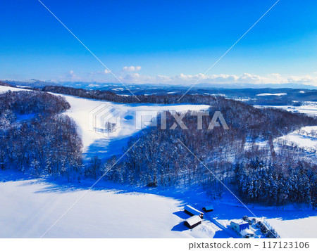 Hokkaido in winter 117123106