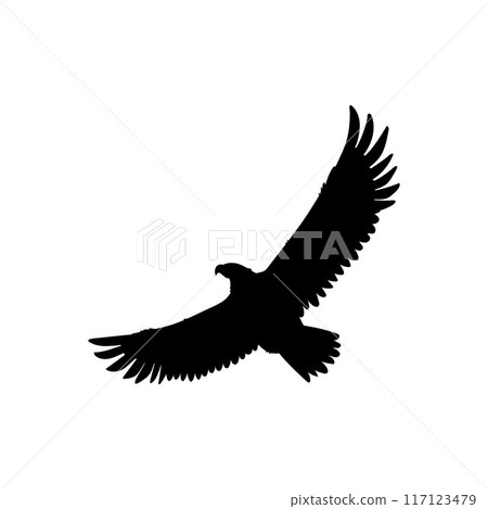 Bald Eagle black silhouette vector icon, American eagle wild bird of prey soaring, falcon or hawk animal flight up Bald Eagle black silhouette vector icon, American eagle wild bird of prey soaring, falcon or hawk animal flight up 117123479