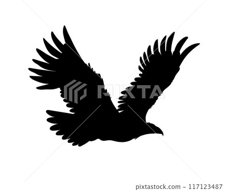 Bald Eagle black silhouette vector icon, American eagle wild prey bird soaring, falcon or hawk carnivore animal flight 117123487