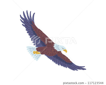Vector illustration of an American bald eagle in flat style. 117123544
