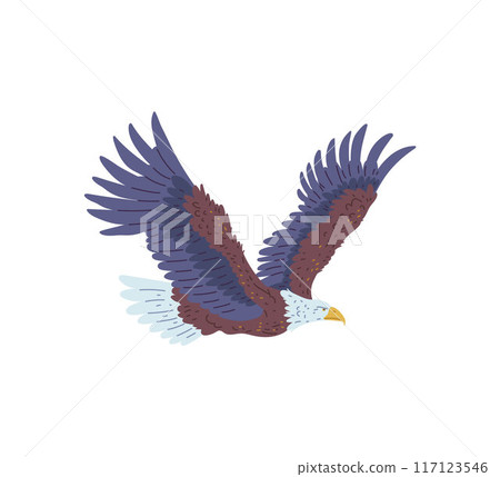 Soaring American Bald Eagle, vector illustration on isolated background. Soaring American Bald Eagle, vector illustration on isolated background. 117123546