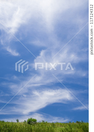 清爽的藍天草原【背景素材】 117124312