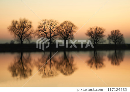 Evening sunset calm spring river bank with trees Evening sunset calm spring river bank with trees 117124383