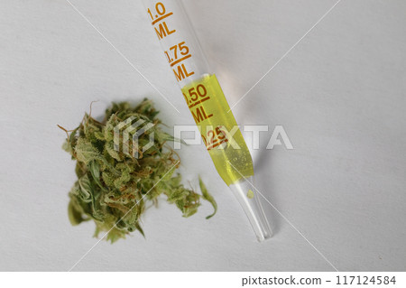 Pipette with cannabis oil and marijuana bud macro, top view. Medicine and treatment concept. 117124584