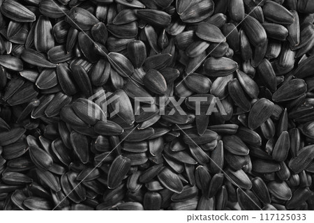Sunflower seeds background, closeup of roasted seeds. Sunflower seeds background, closeup of roasted seeds. 117125033
