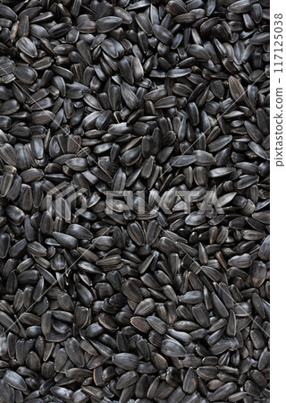 Sunflower seeds background, closeup of roasted seeds. Close up of sunflower seeds as background, top view 117125038