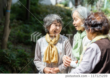 Three senior women standing and talking 117125209
