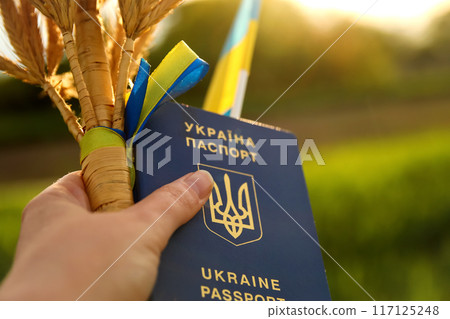 Close-up of a female hand holding a Ukrainian passport, with a tied bundle of wheat spikes and the Ukrainian flag set against a green natural background. freedom concept. Independence day 117125248