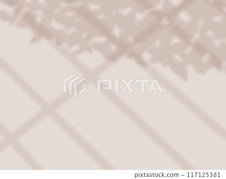 窗戶和樹葉陰影的背景反射在牆上 117125381