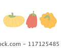 Pumpkins set. Autumn ripe vegetables. Vector outline illustration isolated on white background. 117125485