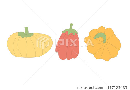 Pumpkins set. Autumn ripe vegetables. Vector outline illustration isolated on white background. Pumpkins set. Autumn ripe vegetables. Vector outline illustration isolated on white background. 117125485