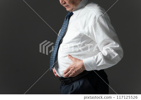 內臟脂肪、胃、手 117125526