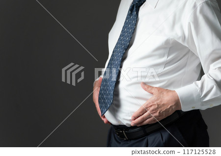 內臟脂肪、胃、手 117125528