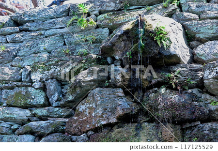 君三寺境內的「三井水」、「淨水」泉水之一（和歌山縣） 117125529