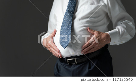 內臟脂肪、胃、手 117125540